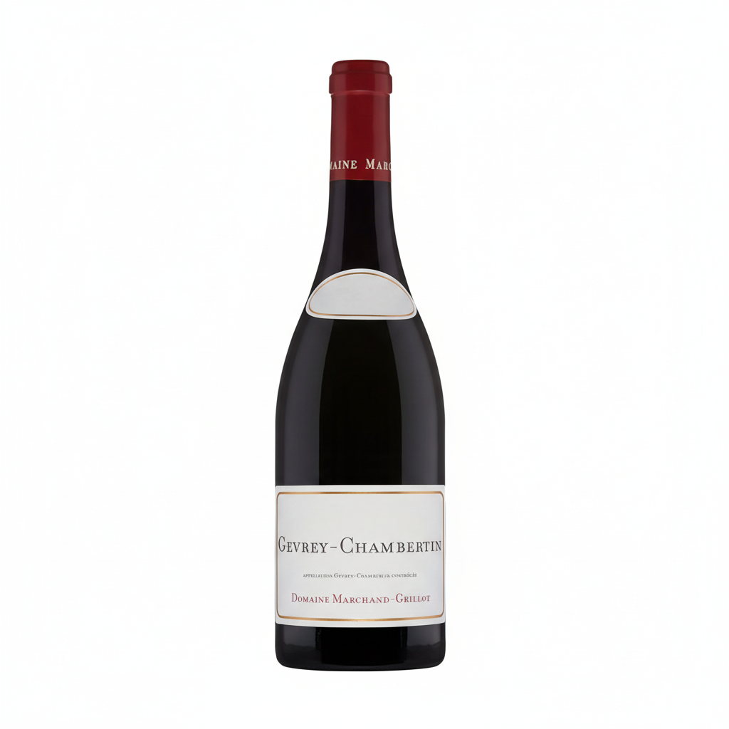 Domaine Marchand Grillot Gevrey Chambertin Burgundy France 2019